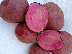 Pommes de terre colorées à chair rose