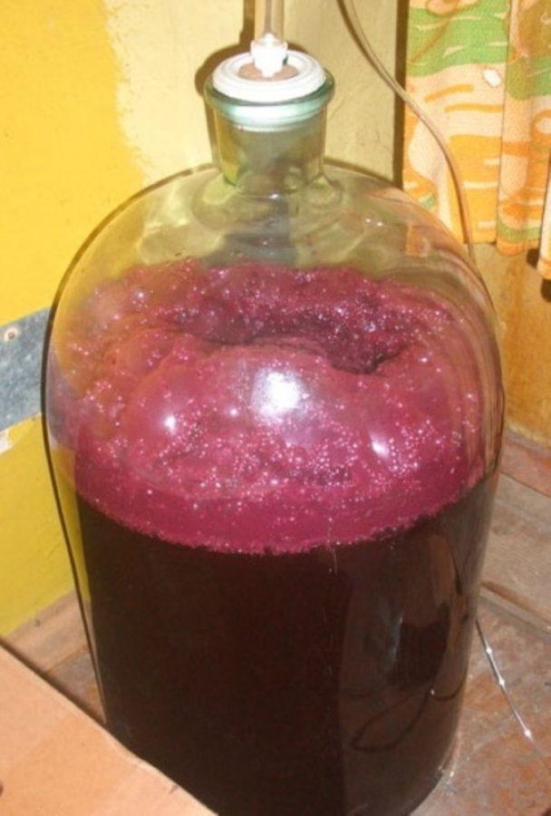 fermentación de mosto