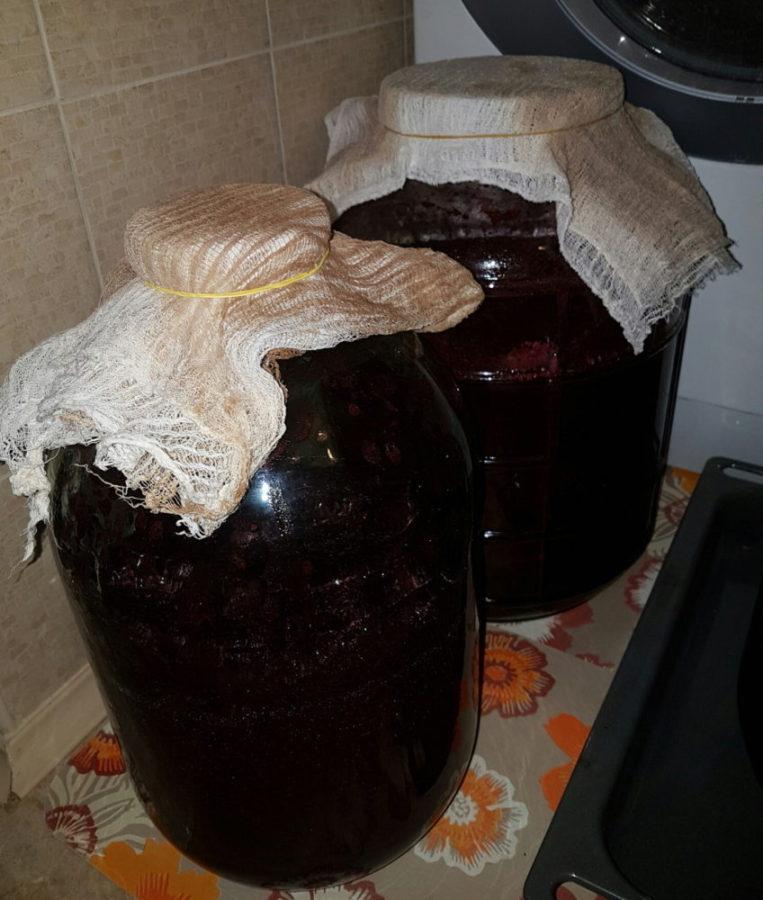 fermentación del vino joven de serbal