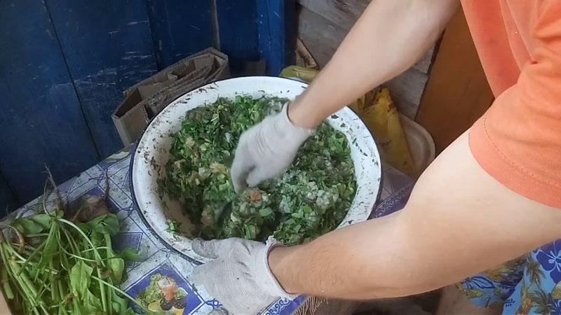 puré nutritivo