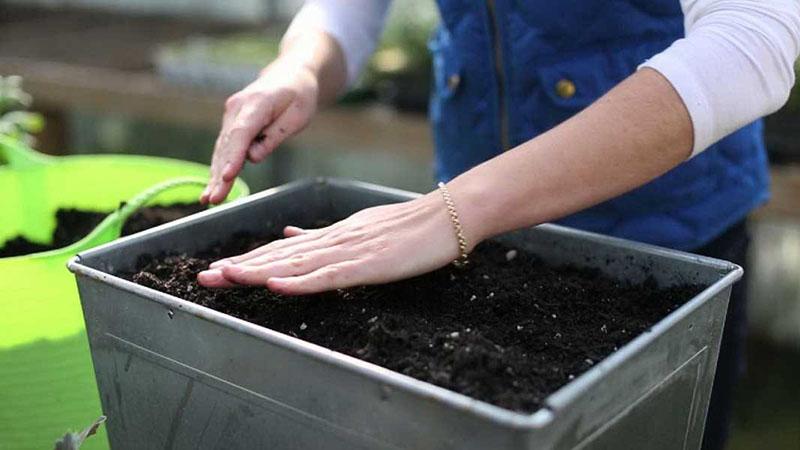 préparation du sol pour semer des graines