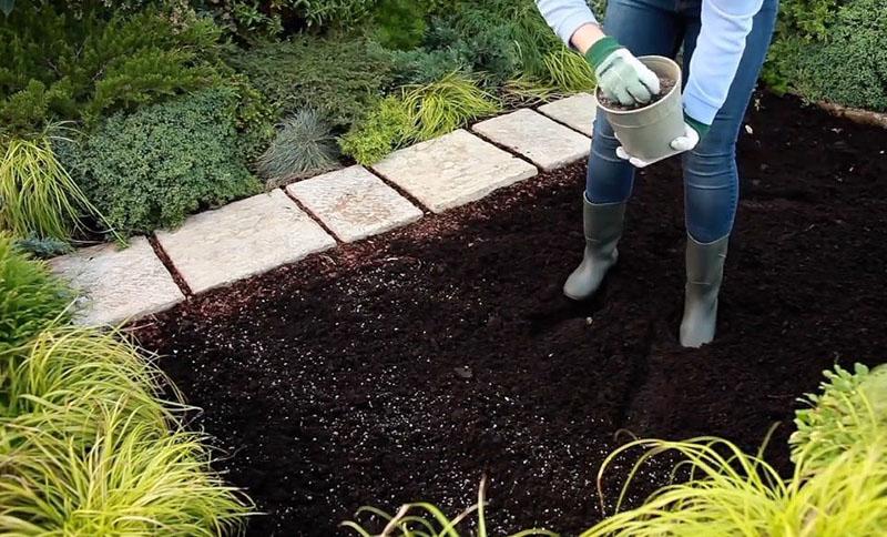 preparación del macizo de flores