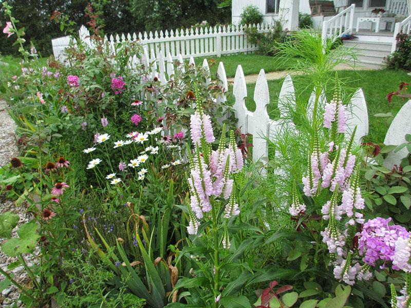 soins physiques dans le jardin