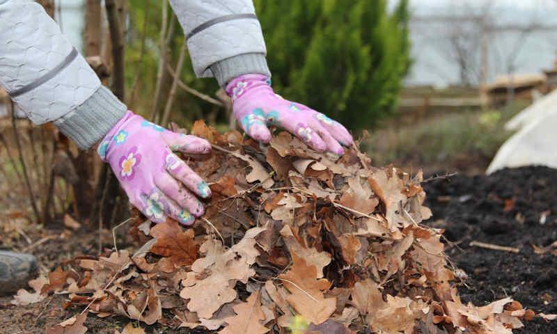 preparándose para el invierno