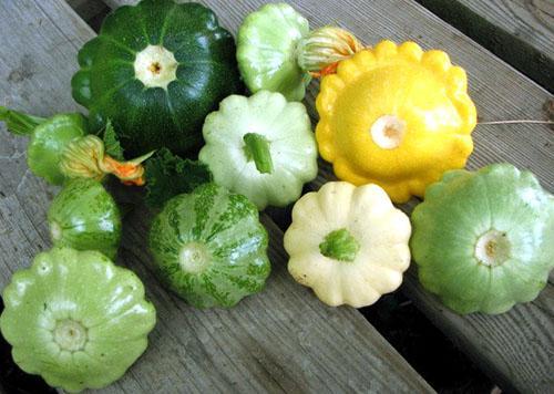 Calabaza tan diferente en nuestra mesa