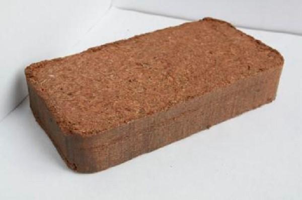 briquette de noix de coco