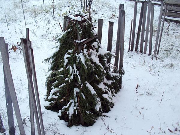 protection contre le froid